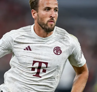 在全球范围 在全球范围