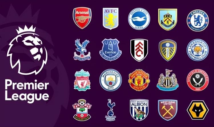 他们有望在 他们有望在