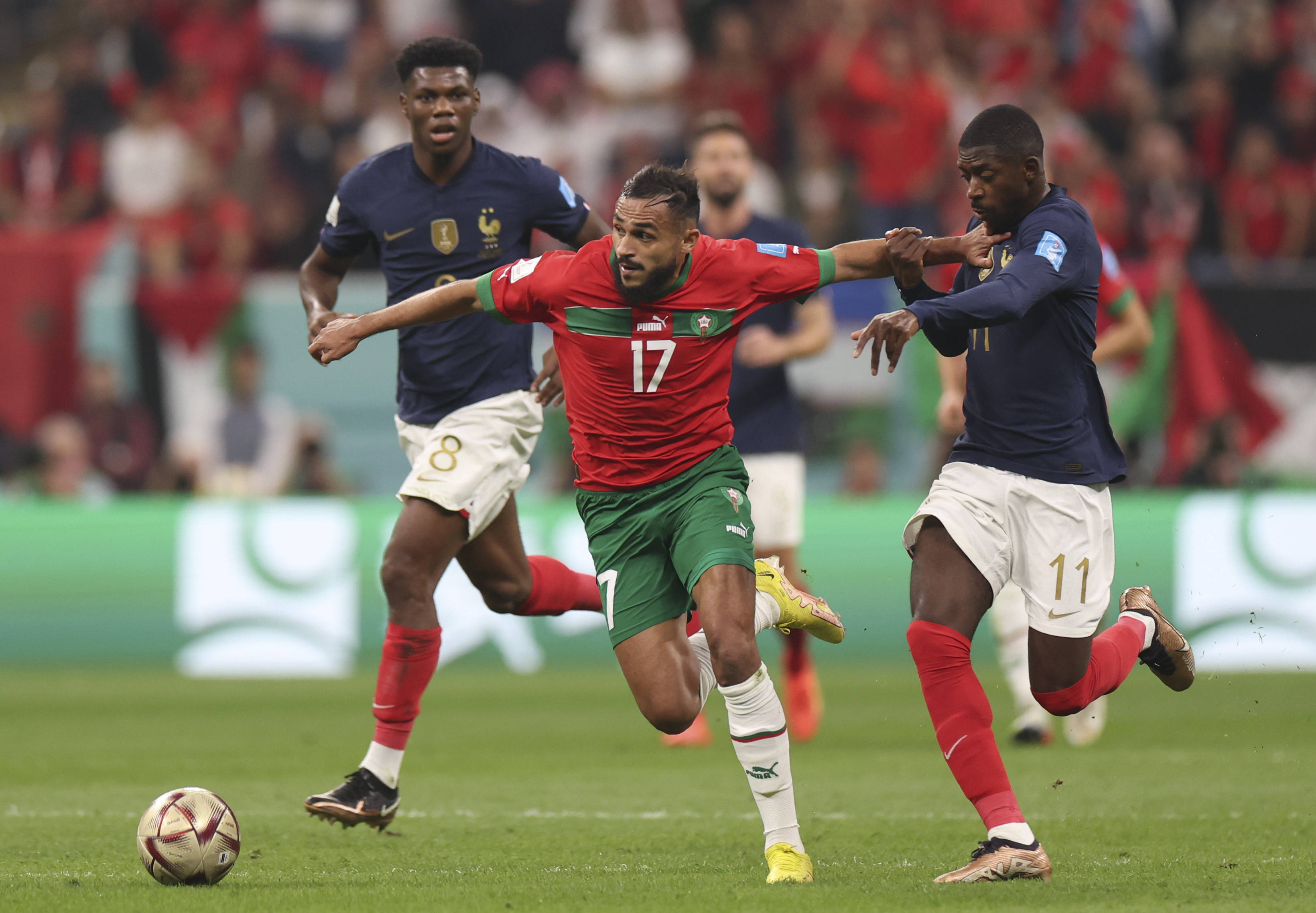 已经让无数 已经让无数