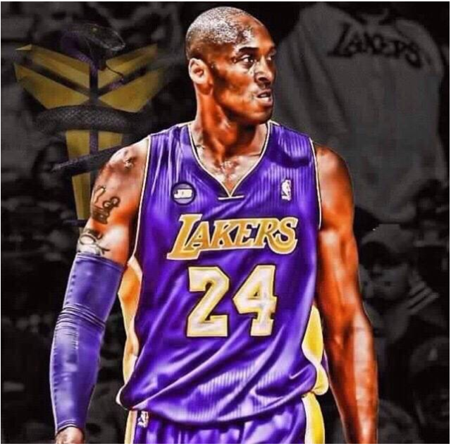 了一种全新 了一种全新